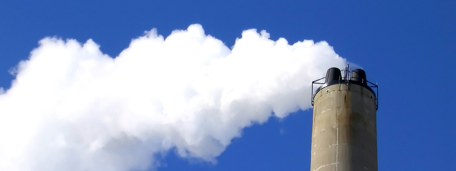 link to Climate Friendly Supermarkets webpage