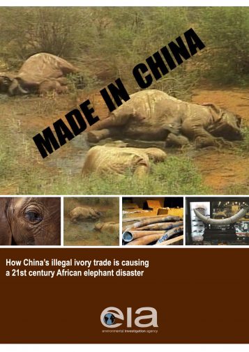 CoP18 Japan Ivory Infographic
