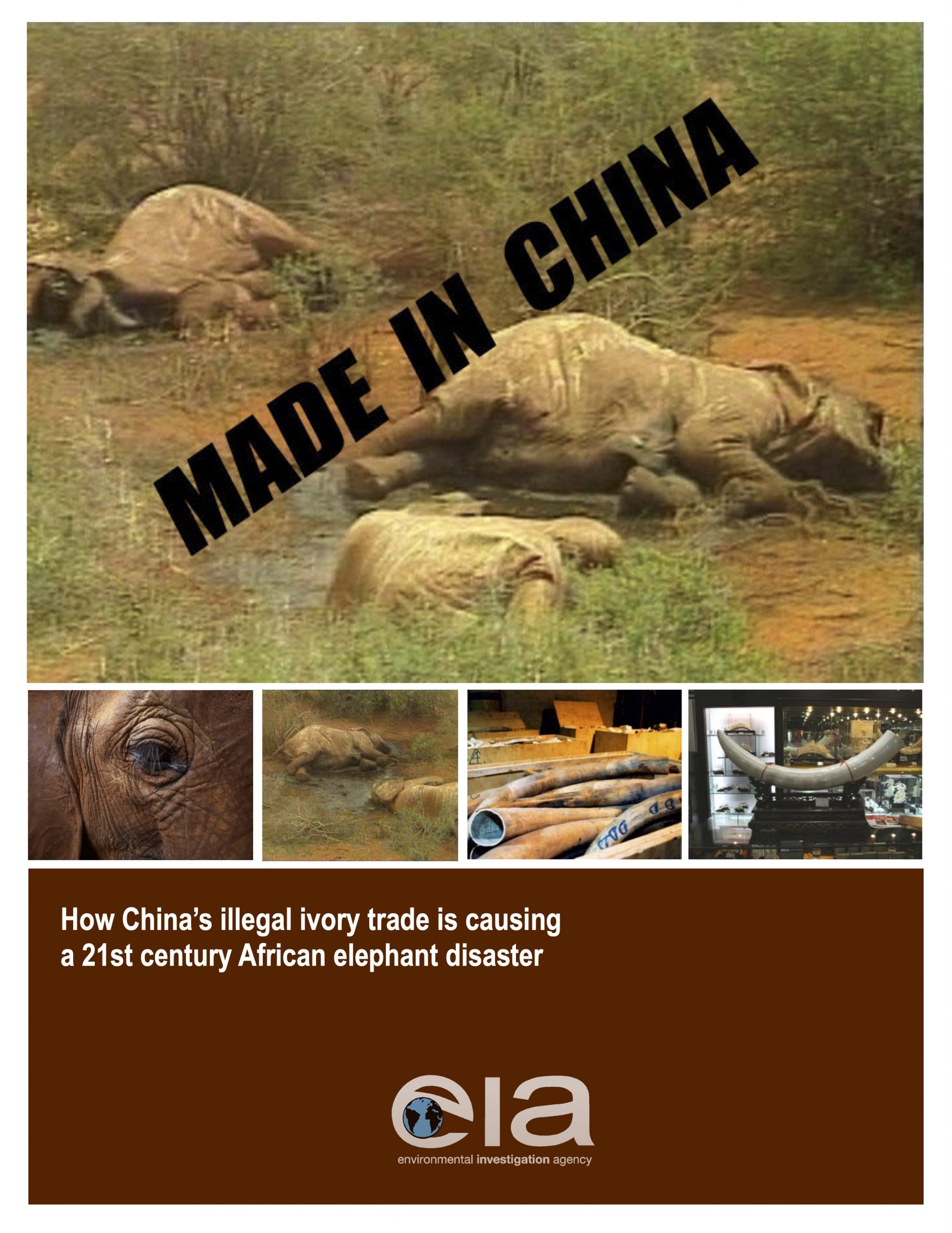 Made in China: How China’s illegal ivory trade is causing a 21st ...