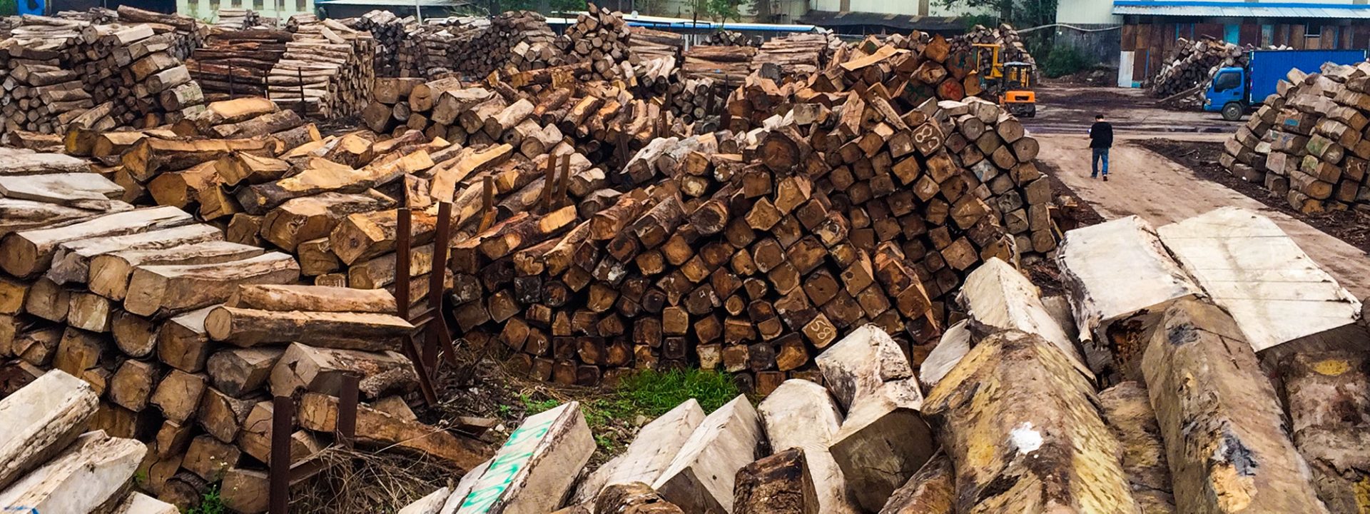 EIA Welcomes China's New Law to Ban Illegal Timber — EIA