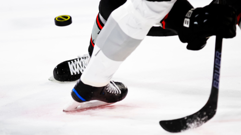 Hockey players face off for the puck