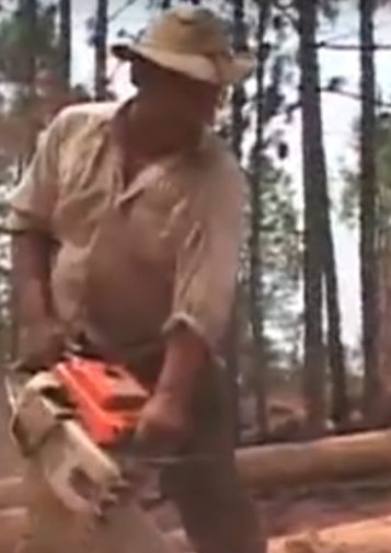 A logger takes a chainsaw to fallen trees