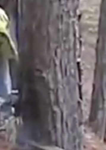 A blurry image of a logger taking a chainsaw to a tree