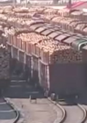 Train cars full of logs