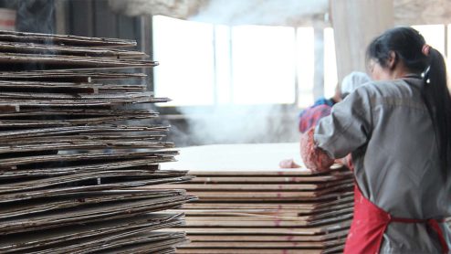 Workers surrounded by piles of plywood