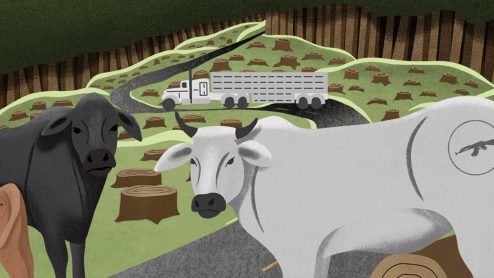 An illustration of cattle branded with gun logos on their sides, surrounded by the stumps of trees, with a cattle truck driving away in the distance