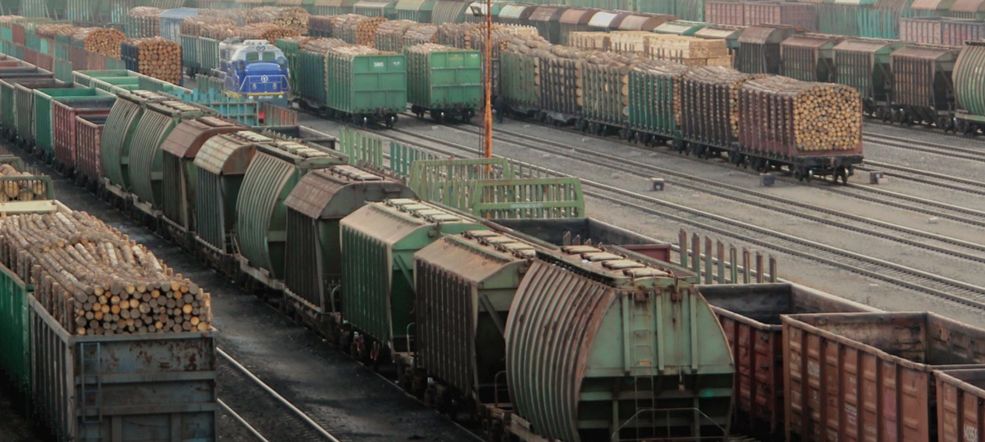 Train cars at a railyard stacked high with logs