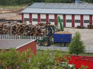 Old trees ready to be chipped and taken to be burned at the TEHO facility, Bardejov, Slovakia. (Mario Hudak