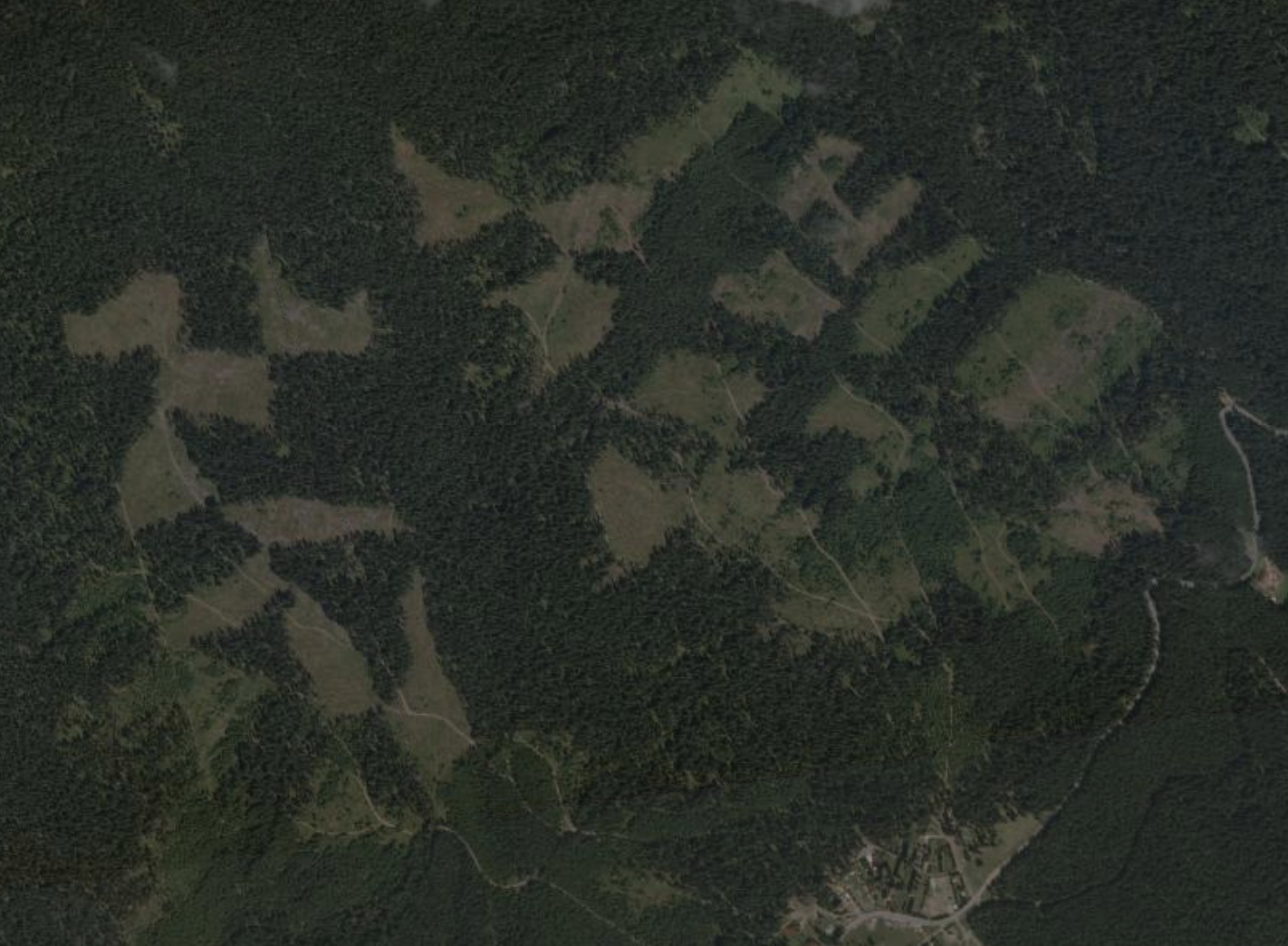 Patchwork of clearcuts in a Romanian Natura 2000 site linked to Ameco supplier FAB PROD COM. August 2022 imagery obtained from Planet Labs.
