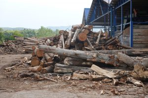 Whole logs at Ecoforest’s mill in western Romania (EIA)