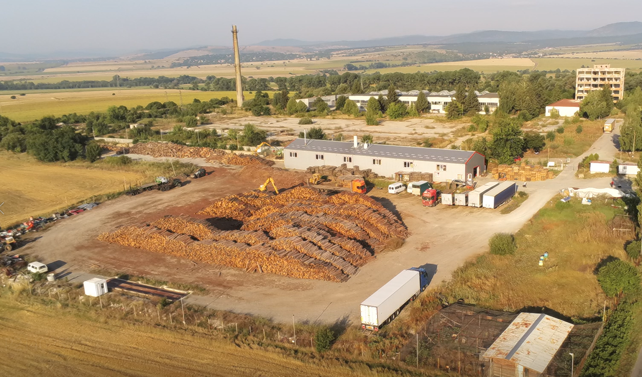 Piles of logs at the Energy Pellets facility in Bulgaria. (Greenpeace Bulgaria)