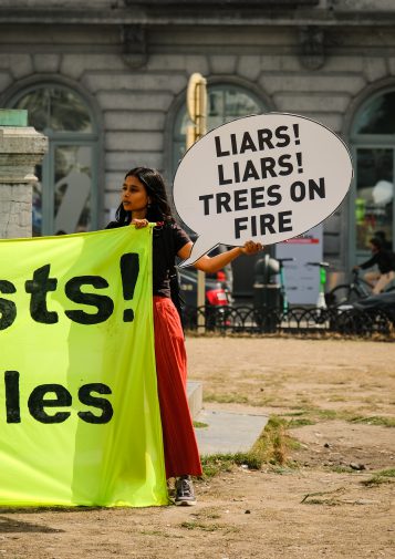 A protestor with a sign that reads Liars! Liars! Trees on fire