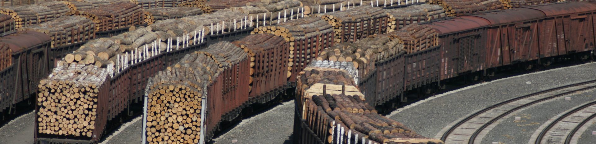 Every train in a Chinese railyard is piled high with Russian logs
