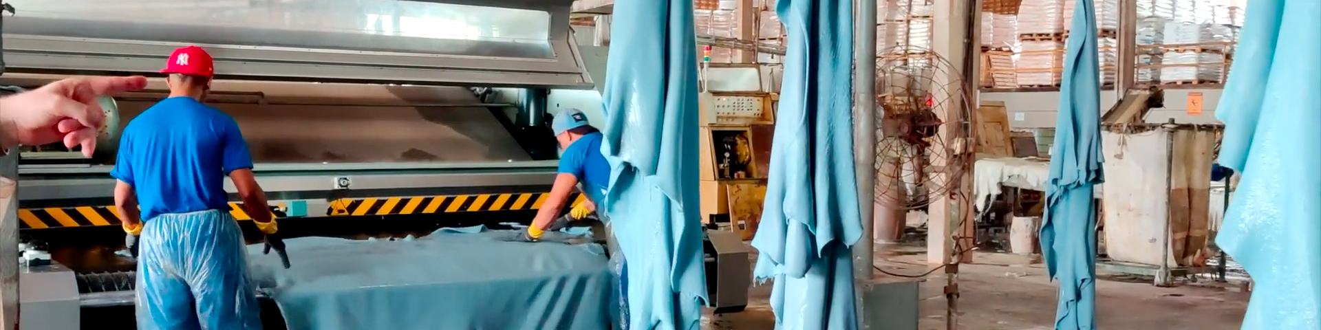 Blue cow hides hang from hooks while workers at an industrial facility prepare to process one on a large machine