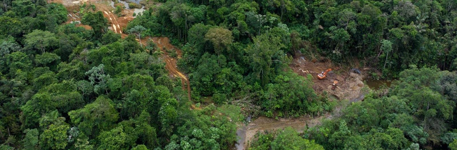 A dense tropical forest is broken up by a construction site