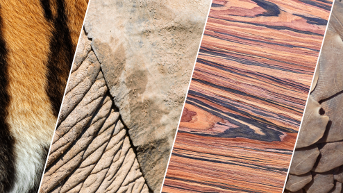 A collage of close-up images of animals and plants, including elephant skin, tiger fur, pangolin scales, and rosewood pattern