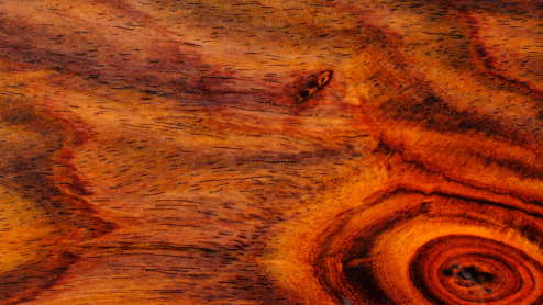 Rosewood texture close up