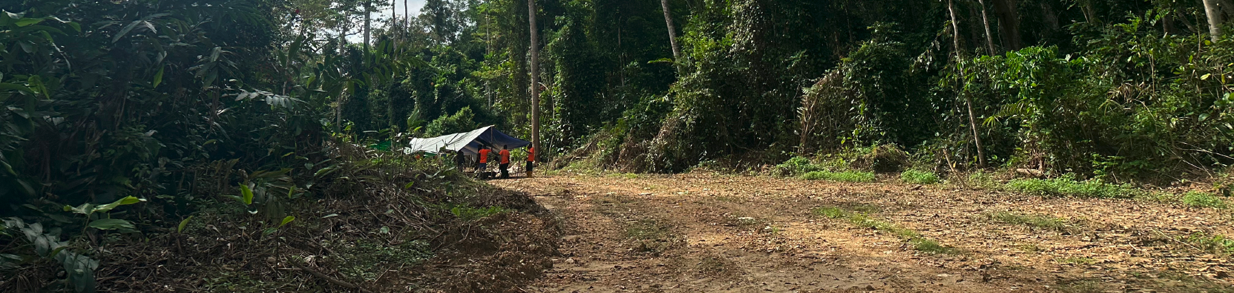 A group of people in high-vis vests stand in a tent surrounded by a forest in Gabon