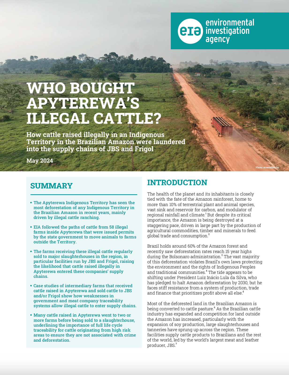 Who Bought Apyterewa's Illegal Cattle? — EIA, image size:1232x1598