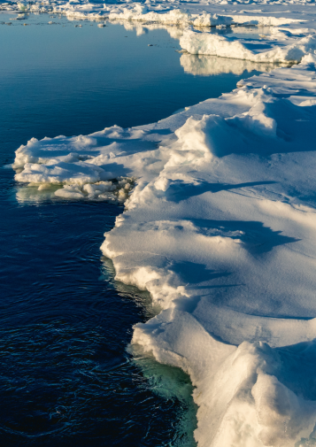 Arctic ice meets ocean