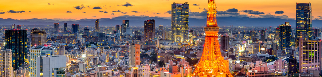 A view of Tokyo's skyline, prominently featuring Tokyo tower