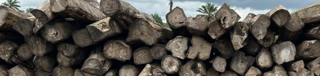 A pile of logs