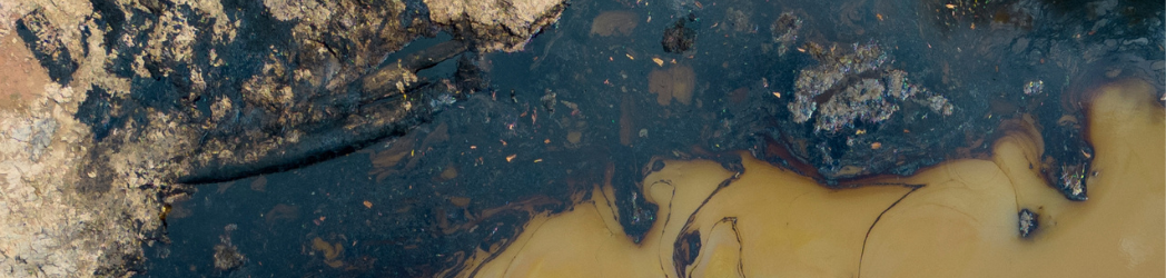 Black oil stands out starkly against the rocks and water it coats on a shoreline