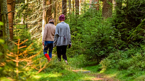 Two people walk a path through a forest