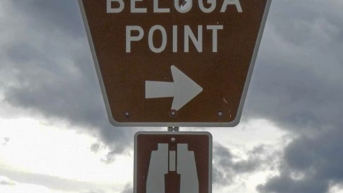 An informational sign designating an area called beluga point