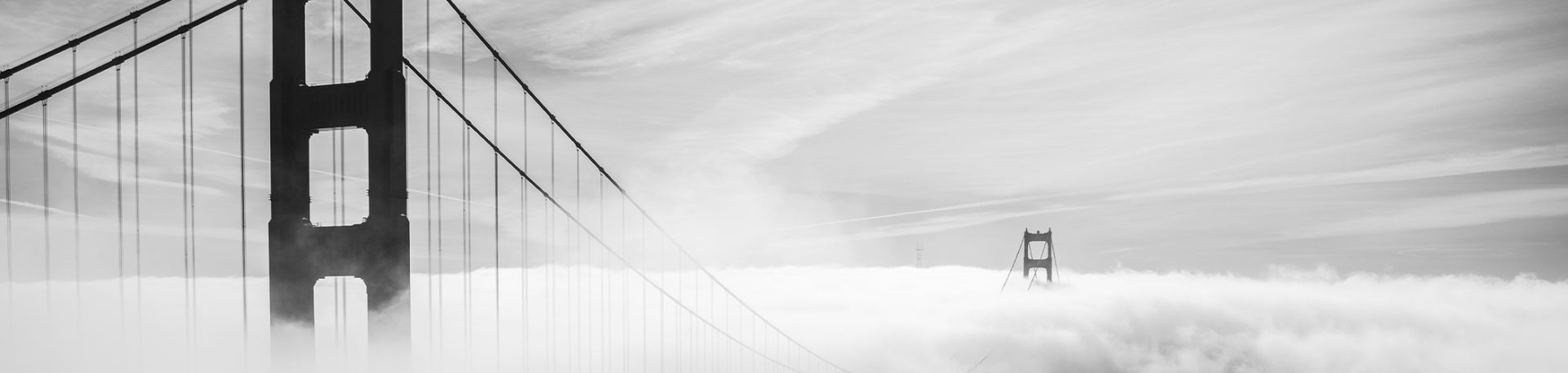 The Golden Gate Bridge rises above a fog bank