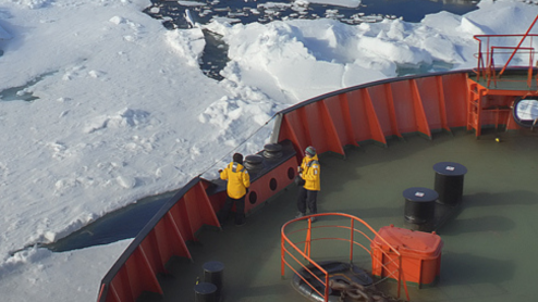 Workers on a ship look out over sea ice