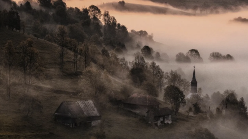 A foggy landscape of trees and small buildings