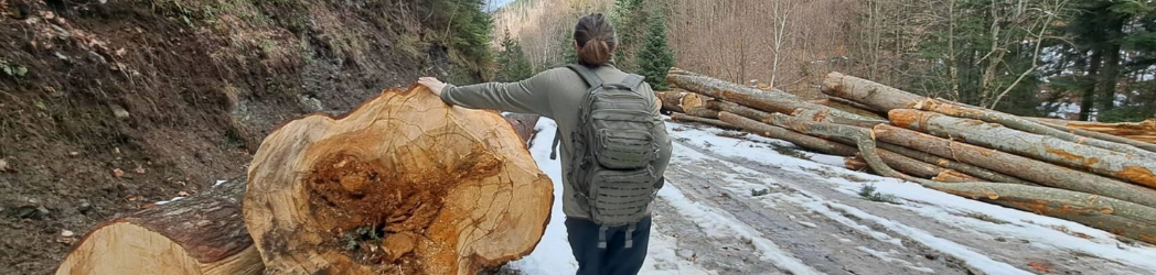 A person leans on a huge cut log that's nearly shoulder height
