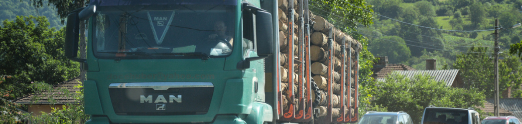 A truck hauling a load of logs