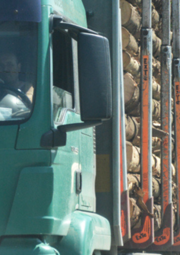 A truck hauling a load of logs