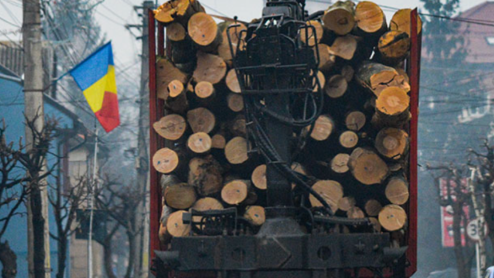 Truck loaded to the top with logs passes a Romanian flag