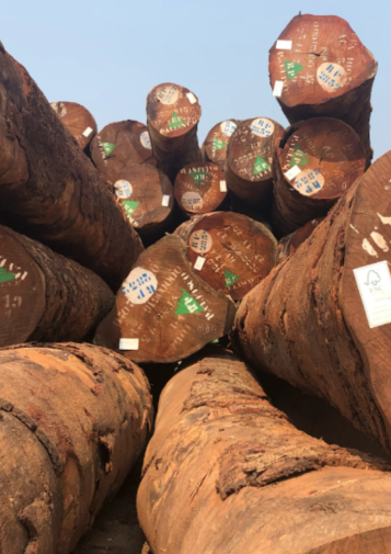 Pile of marked logs