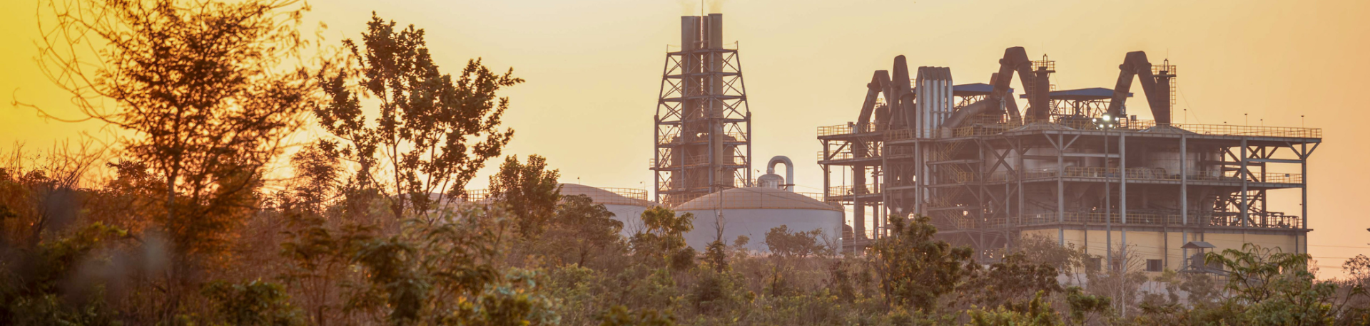 Industrial facility rises above forest