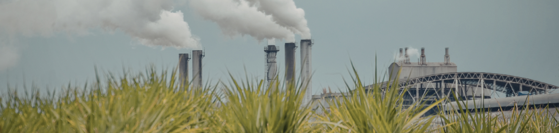 Emissions billow from a factory