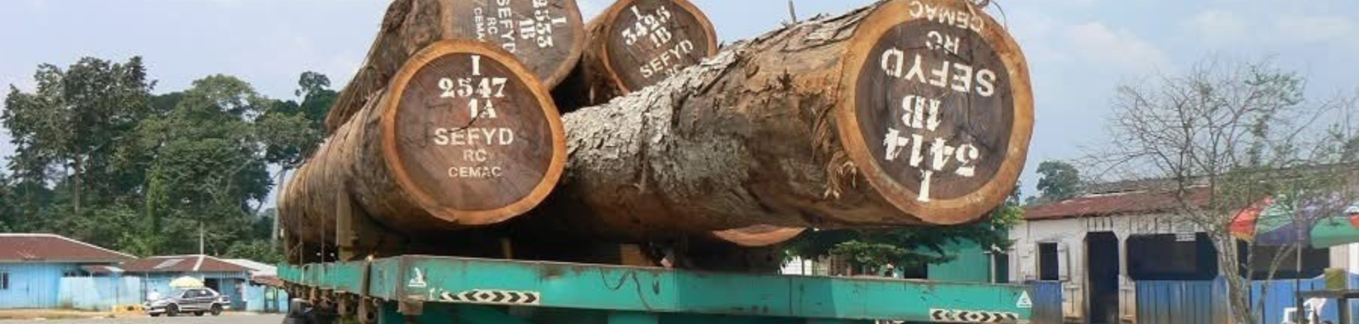 Pile of logs marked SEFYD on a truck