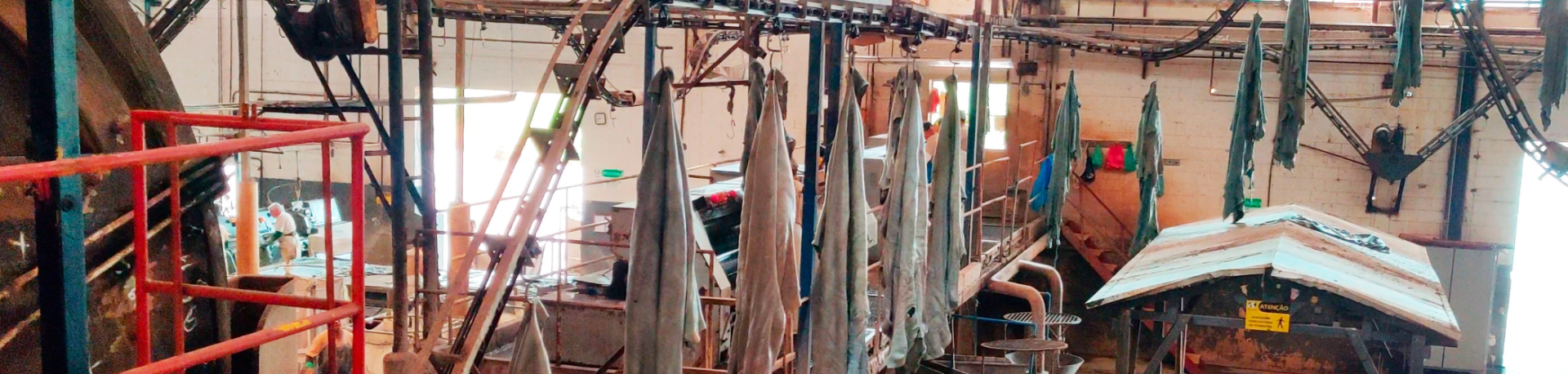 Treated cow hides hang from a conveyer belt in a leather factory
