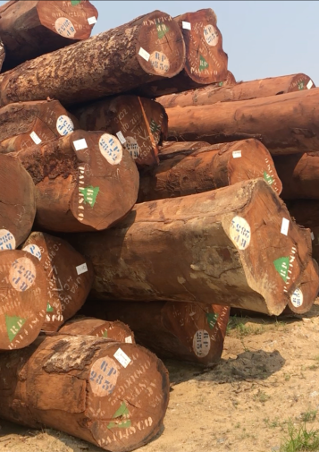 Pile of marked logs