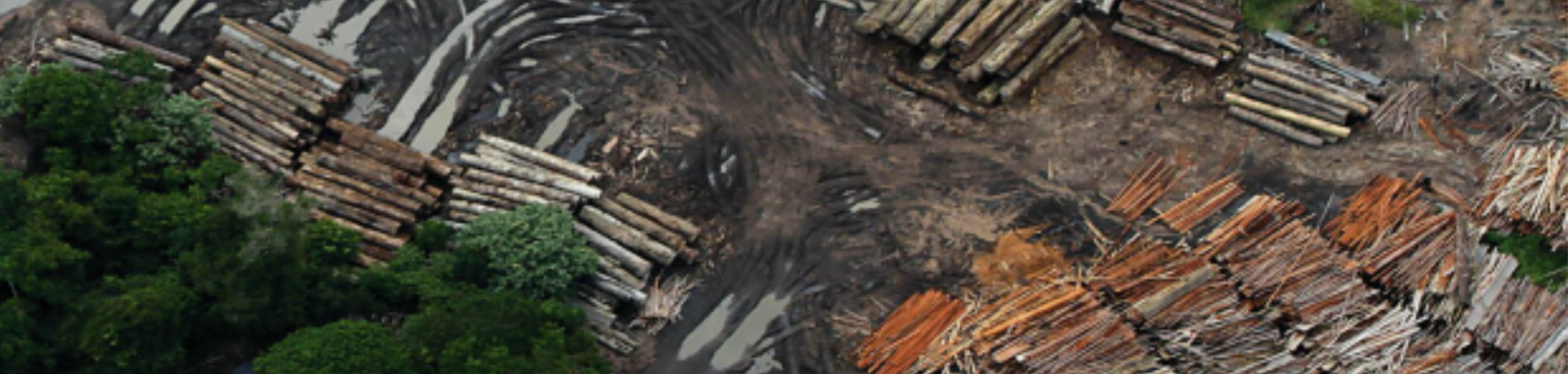 Satellite view of wood piles