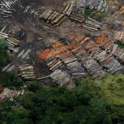 Satellite view of wood piles